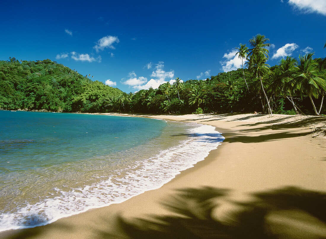 Empty Tropical Beach With Waves Lapping The Shore