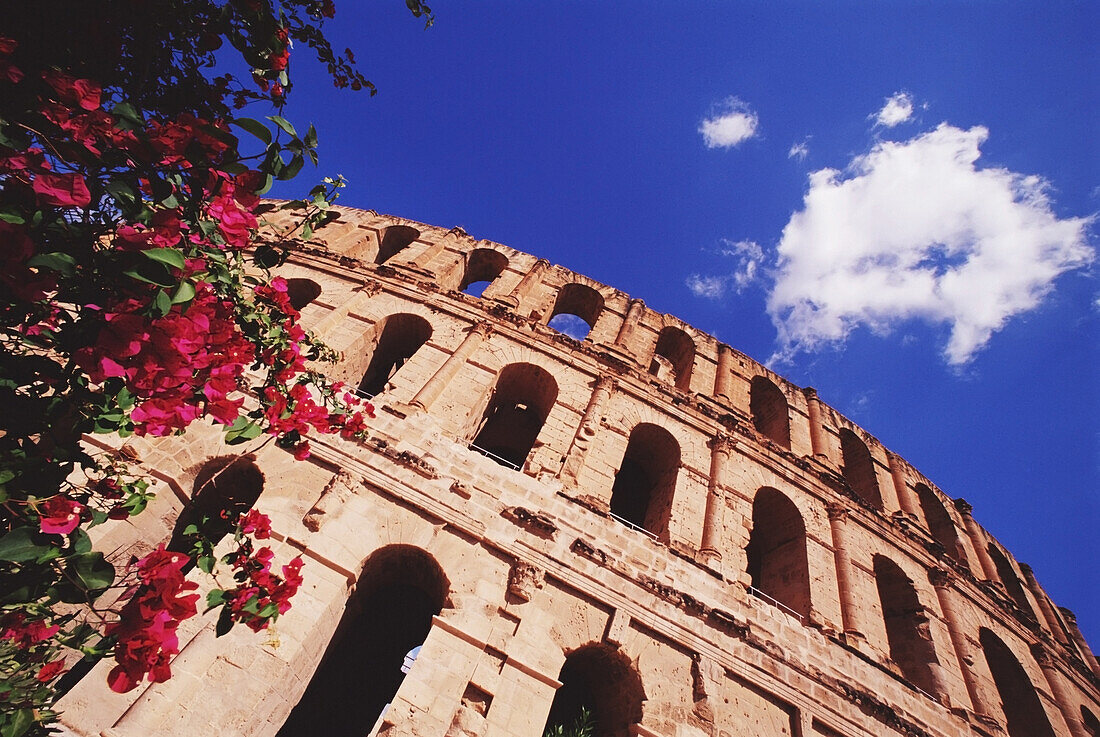 El Jem Coliseum And Flowers