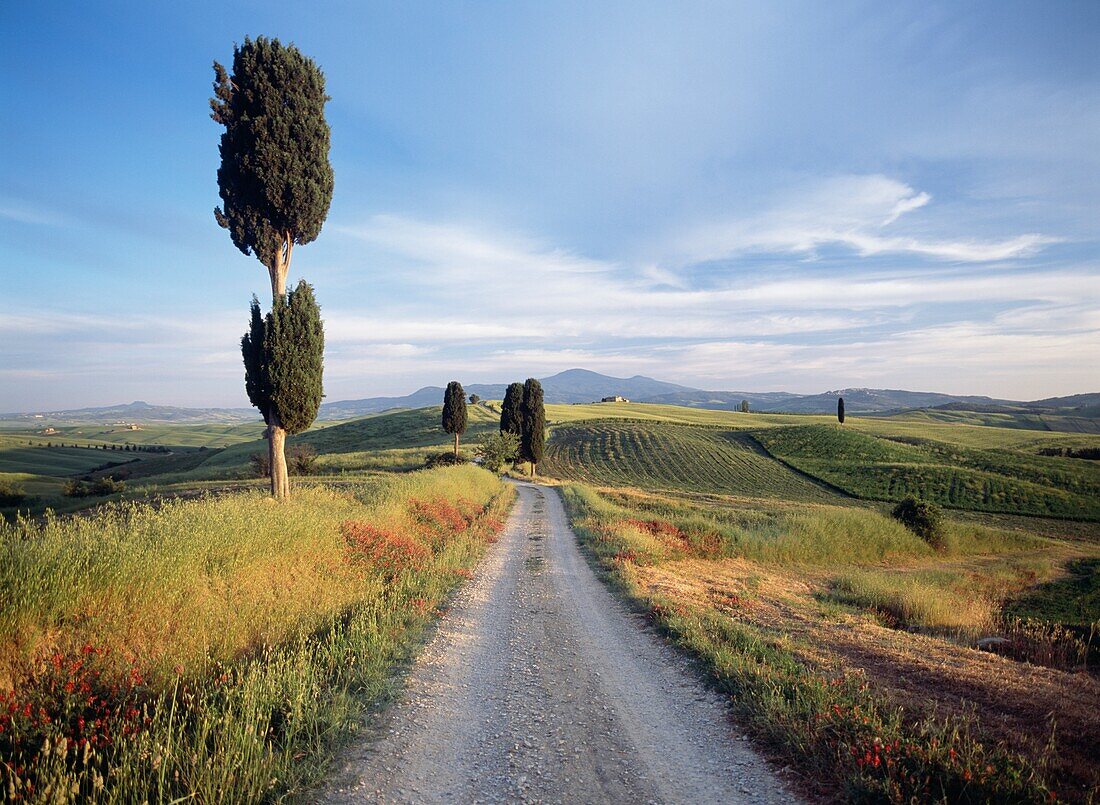 Dirt Road Disappearing Down Rural Landscape