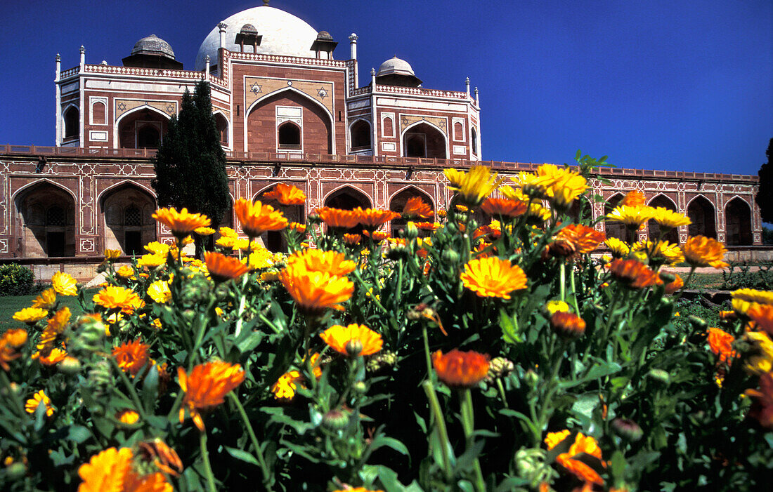 Humayuns Tomb