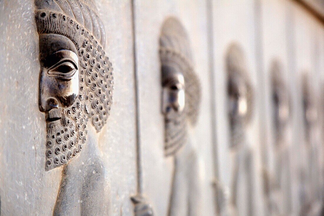 Detail Of Relief On Apadana Staircase