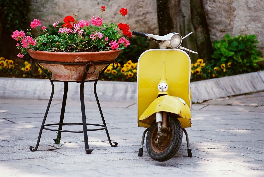 Scooter und Blumen in einem erhöhten Topf