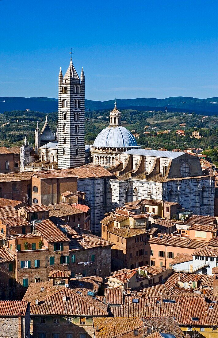 Blick über Siena mit Duomo
