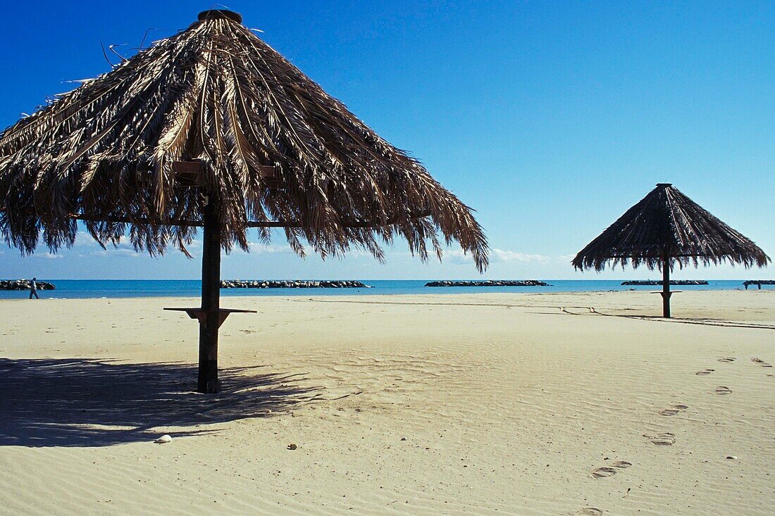 Grass Roofed Umbrellas On Beach