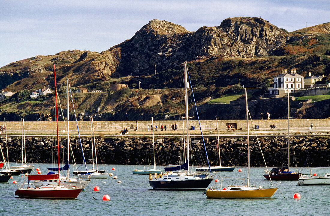 Sailboats In Howth Harbour