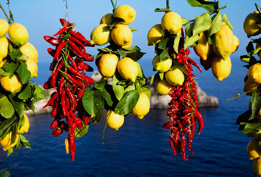 Bündel von Chilis und Zitronen auf einer Reling, Meer im Hintergrund