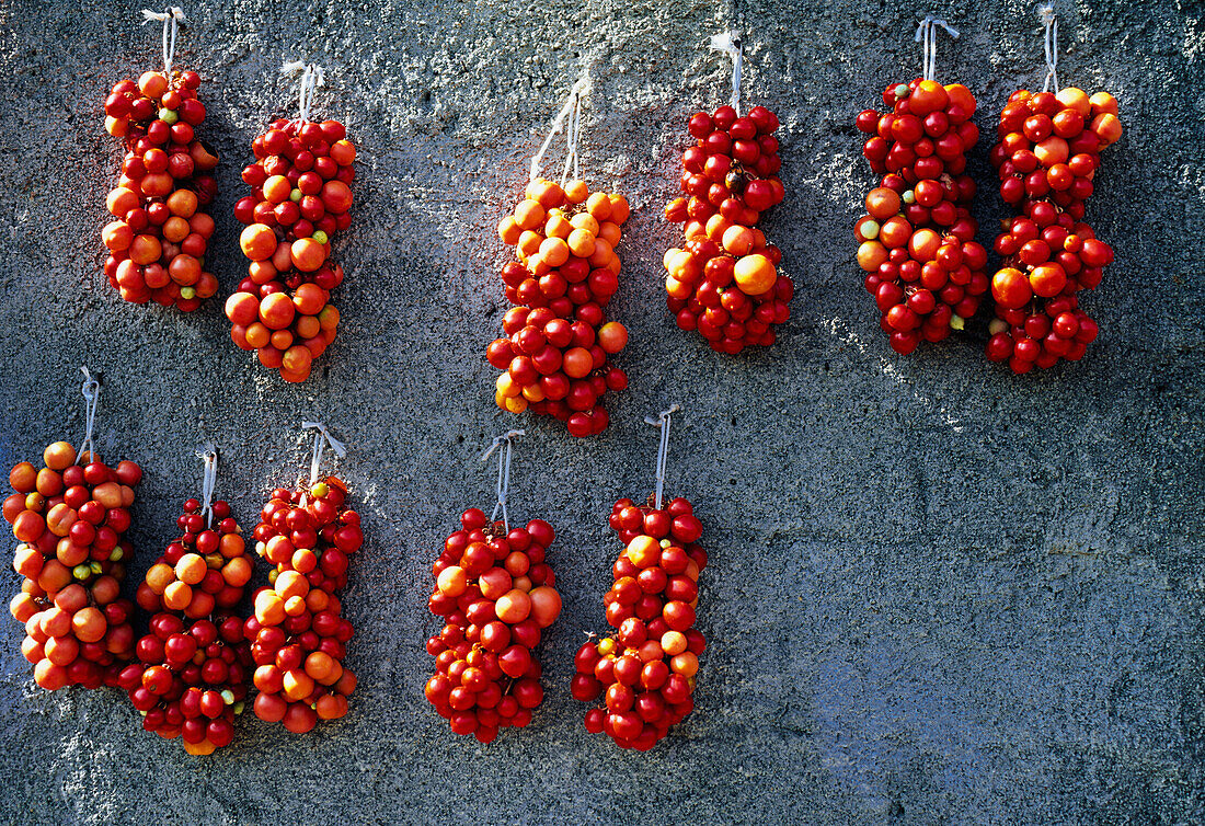 Tomatoes Hanging From Wall