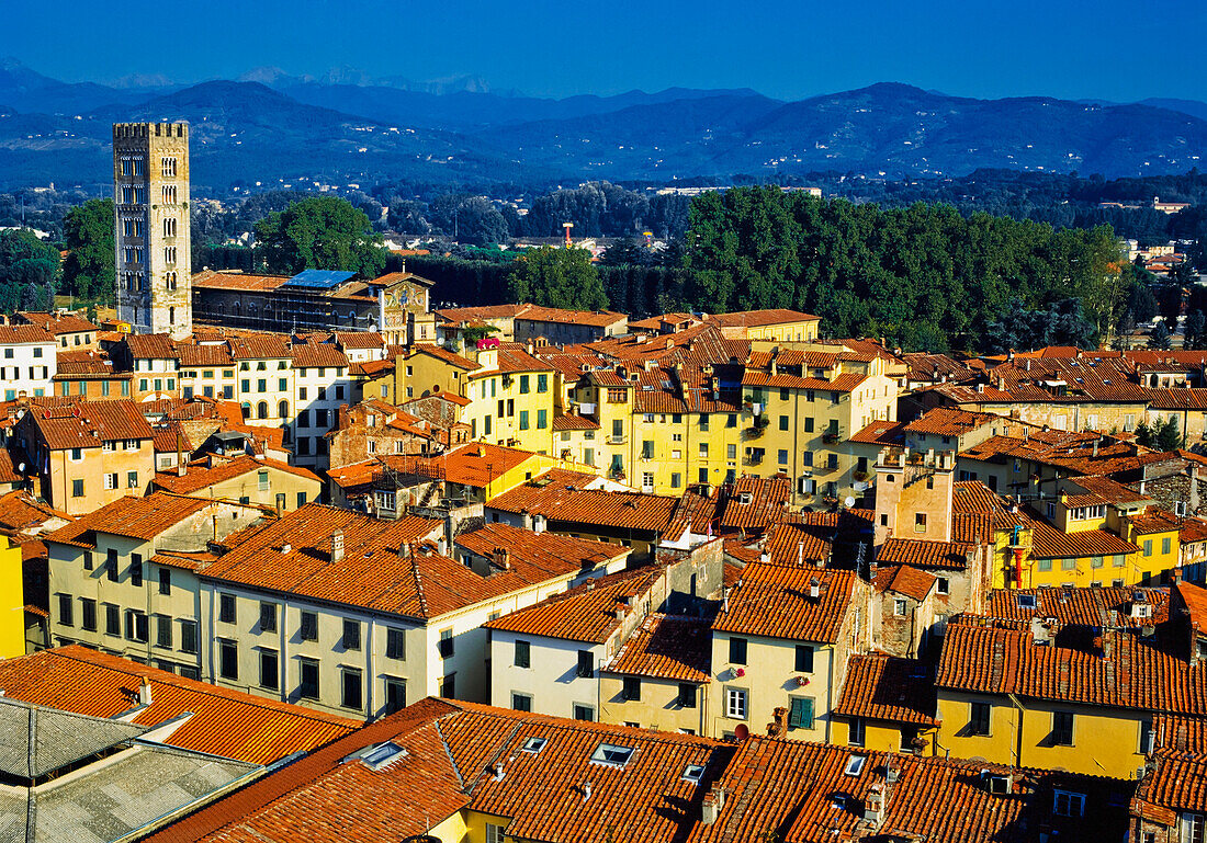 Lucca Town, Elevated View