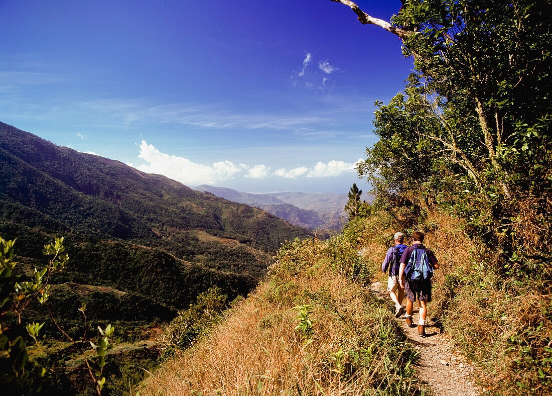 Two Hikers Walking On Trail, Rear View