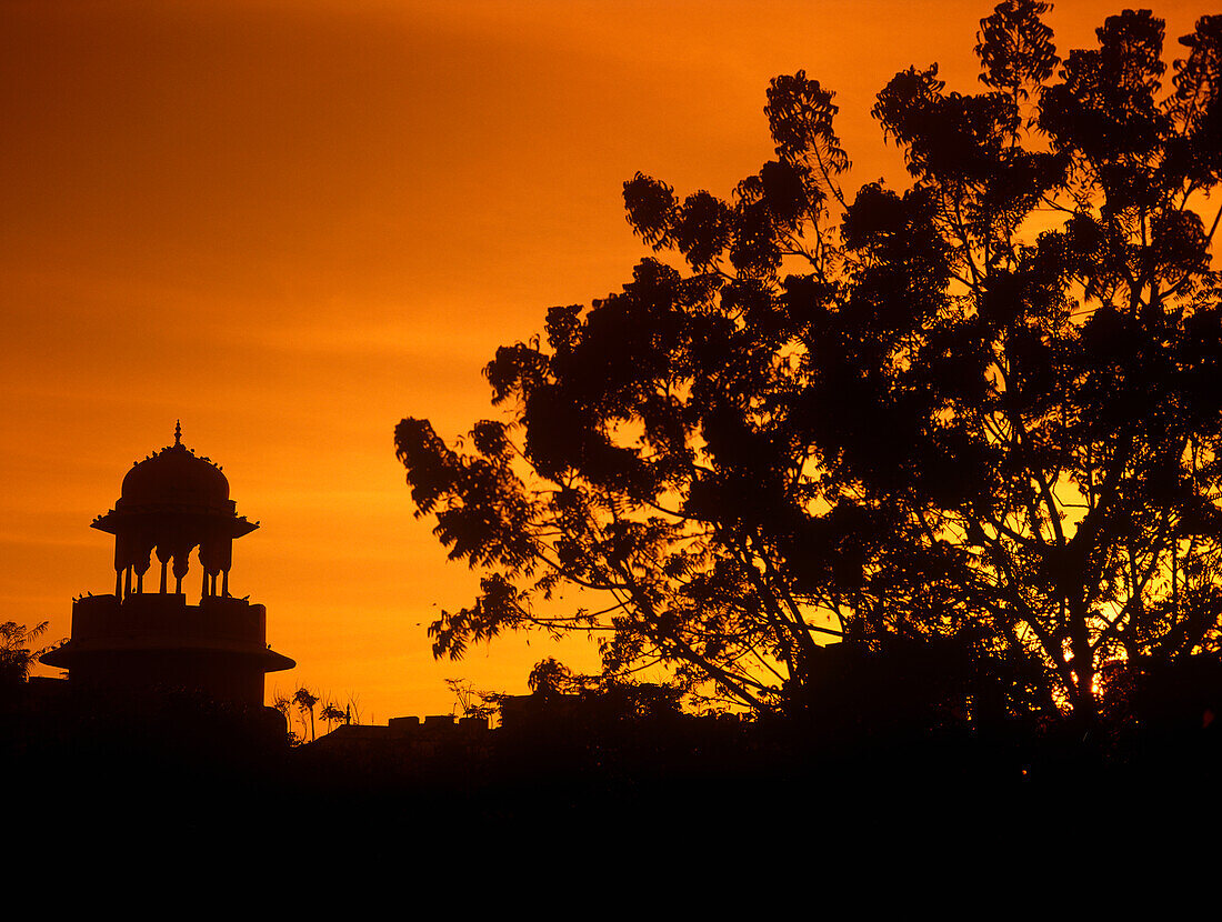 Tree And Dome Silhouetted At Sunset