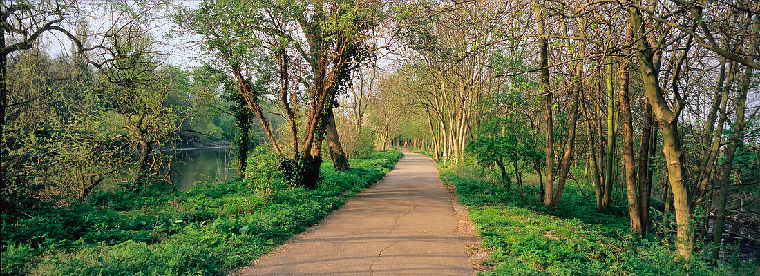 The Thames Path, Near Kew Gardens, West London.