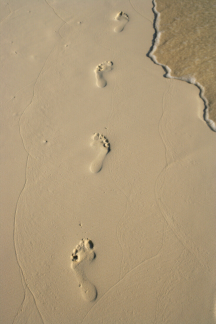 Footprints On The Beach.