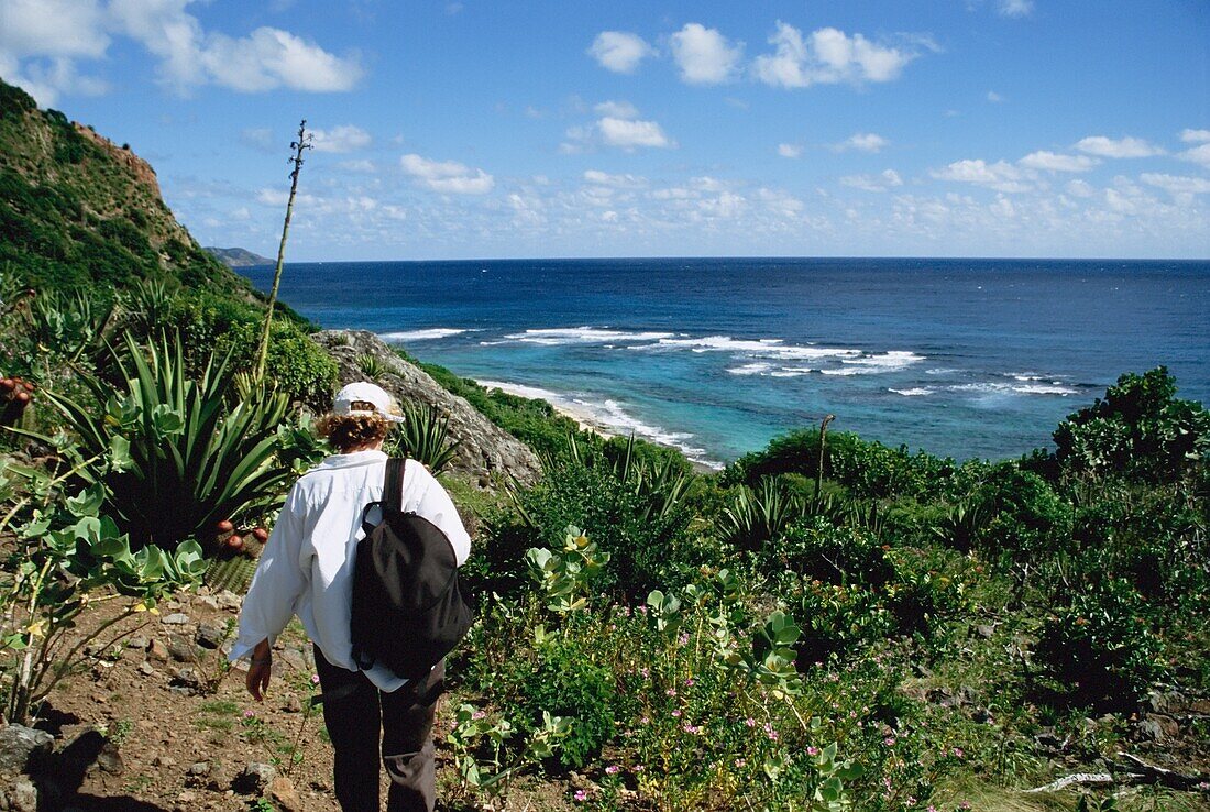 Backpacker Walking By Cactus Along The Coast