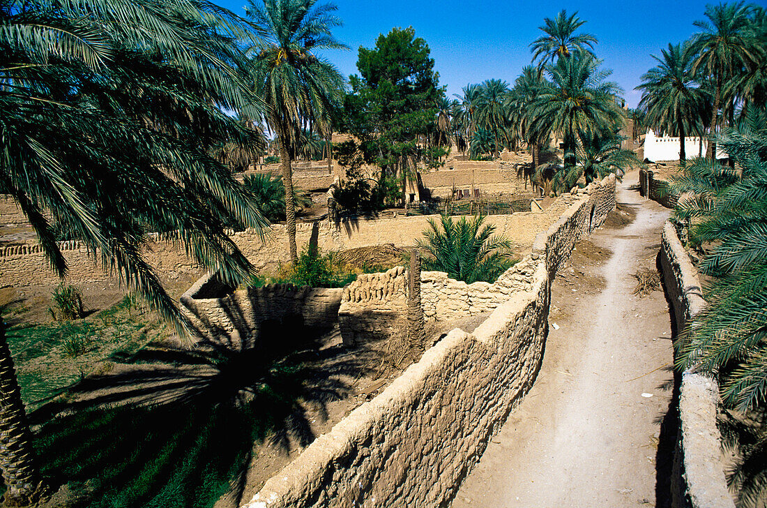 Landwirtschaftliches Viertel in der Altstadt von Ghadames