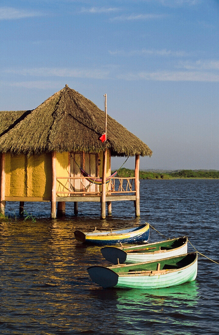 Boats And Room On Stilts