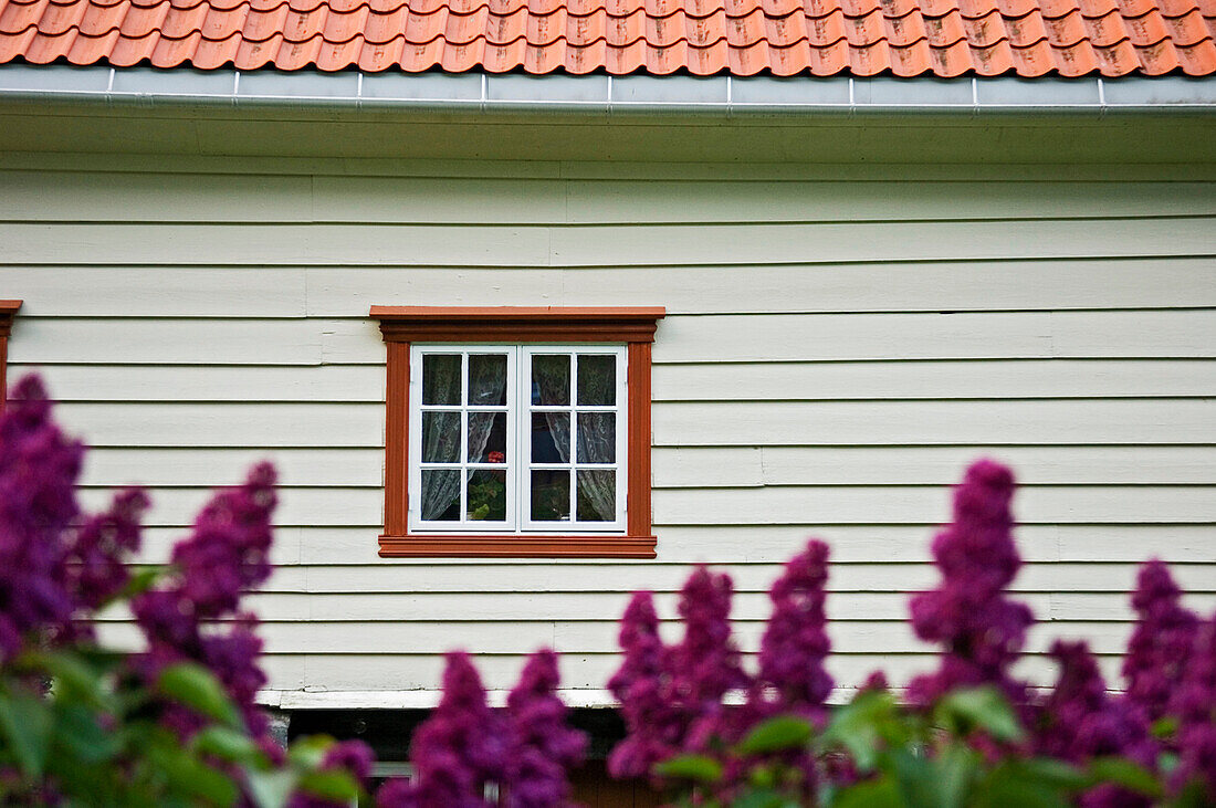 White House And Purple Flowers