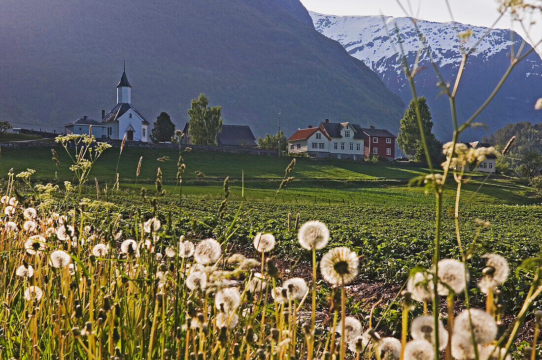 Dorf am Bergfuß und Löwenzahnuhren