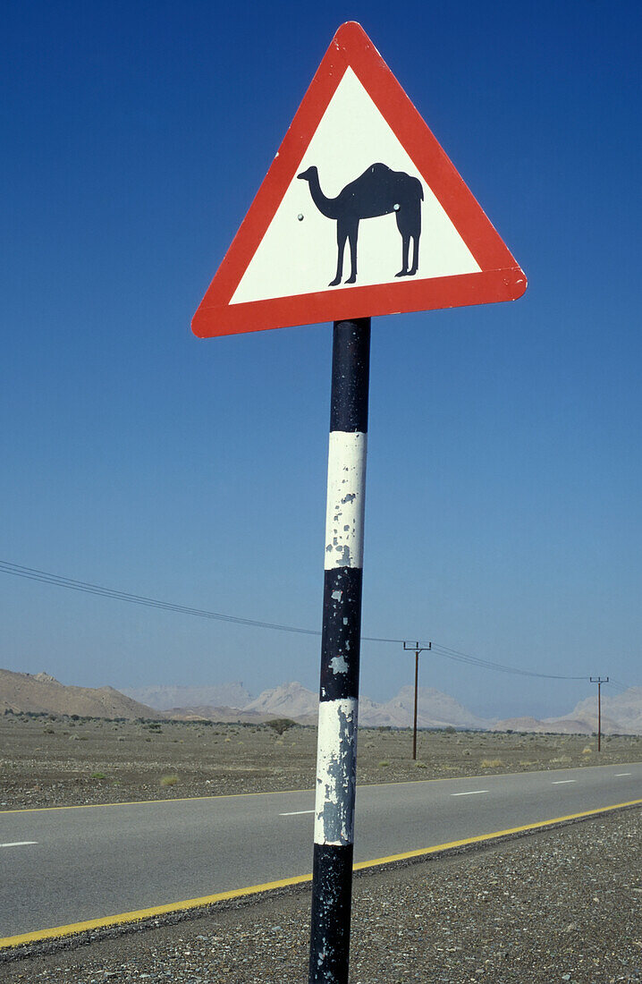 Vorsicht Kamel Straße Zeichen auf Wüste Highway