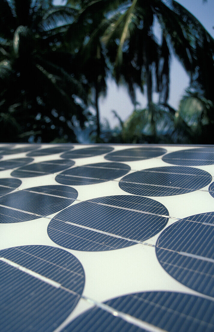 Solar Panels On Roof Next To Palm Trees, Close Up