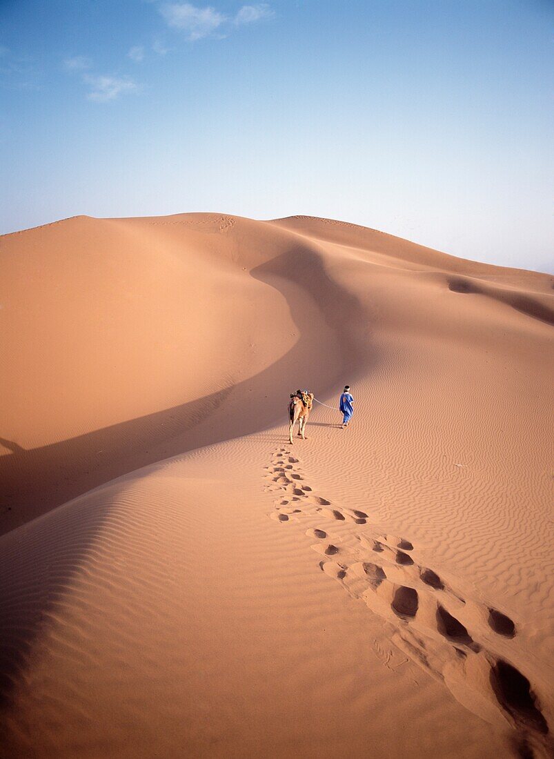 Blauer Mann, historisch ein Stamm von Saharahändlern, führt Kamel durch die Dünen bei Sonnenaufgang