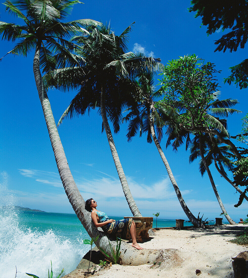 Sunbathing Under Palm Trees With Waves Crashing On The Shore