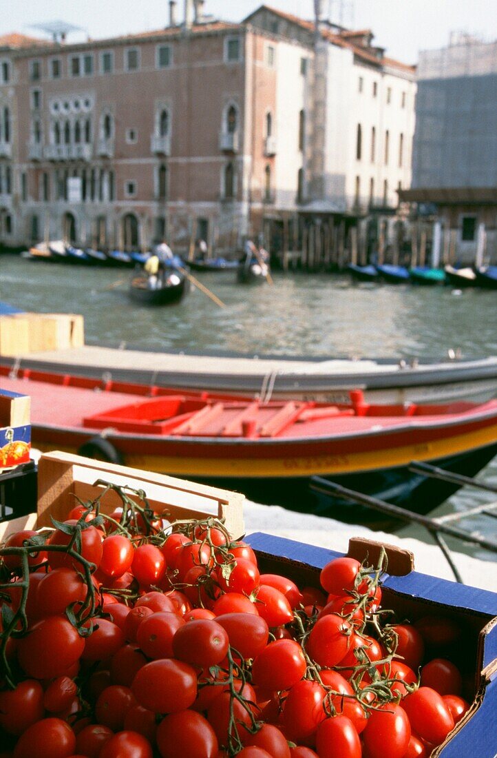 Tomaten zum Verkauf am Ufer des Canal Grande auf dem Rialto-Markt