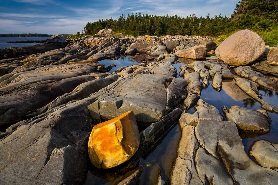 Goldene Felsen und Teiche am Ostufer von Mink Island, Nova Scotia