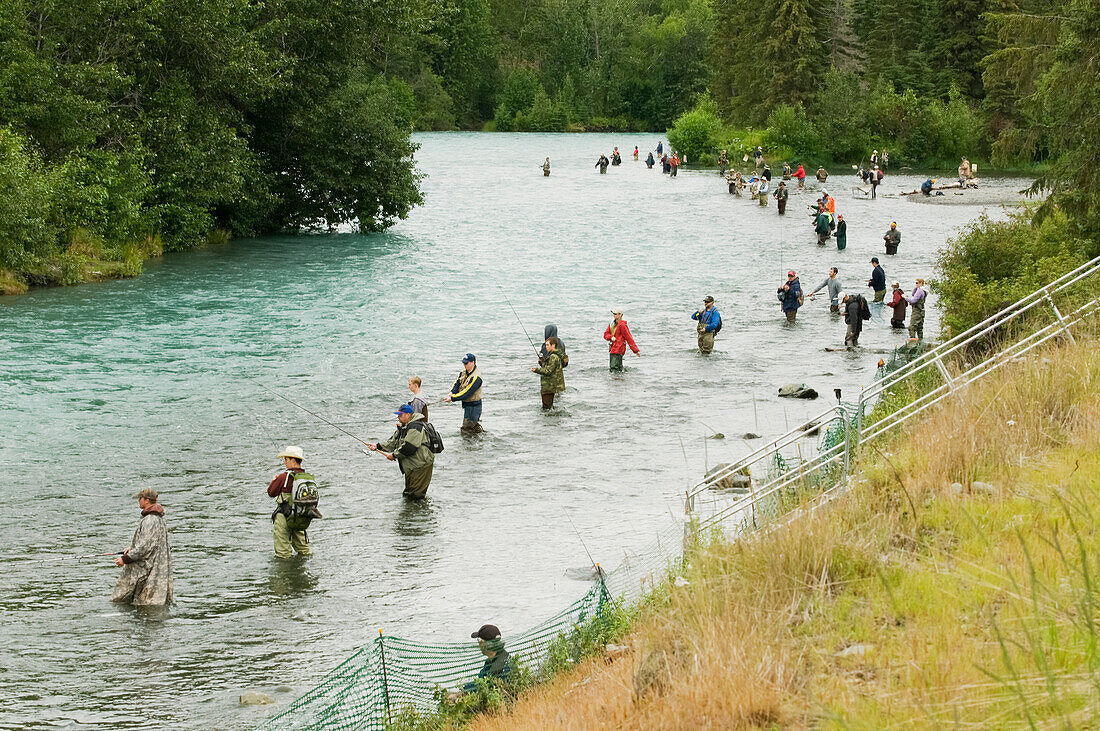 Combat Fishing On The Russian/Kenai River During The Sockeye Salmon Run In July, Southcentral Alaska, Kenai Peninsula