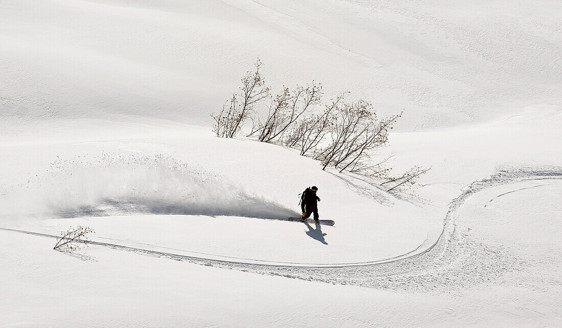 A Backcountry Snowboarder Carving In Turnagain Pass, Southcentral, Alaska