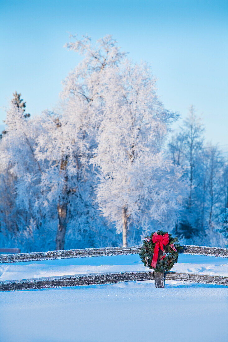 Split Rail Fence Decorated With A Christmas Wreath, Anchorage, Southcentral Alaska