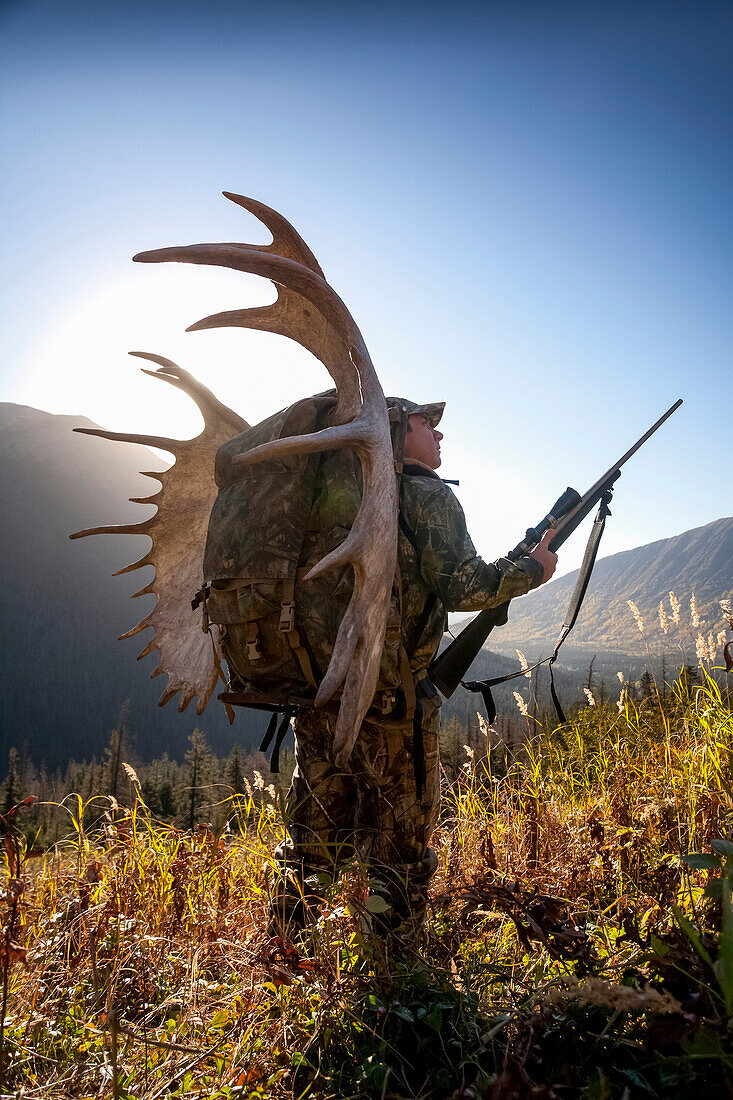 Elchjäger trägt ein großes Elchgeweih auf dem Rücken, als er von seiner Jagd im Bird Creek Drainagegebiet, Chugach National Forest, Chugach Mountains, Southcentral Alaska, Herbst, nach Hause wandert