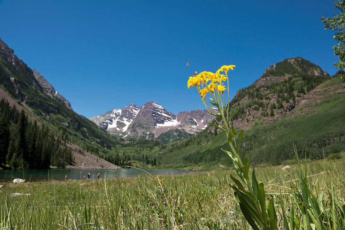 Maroon Bells, The Most Photographed Mountains In North America; Aspen, Colorado, United States Of America