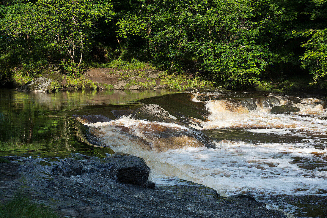 Der Fluss Roe fließt durch den Roe Valley Country Park, Nordirland; Grafschaft Londonderry, Irland