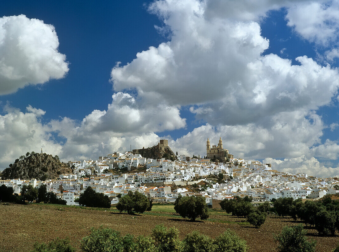 Whitewashed Hilltop Village