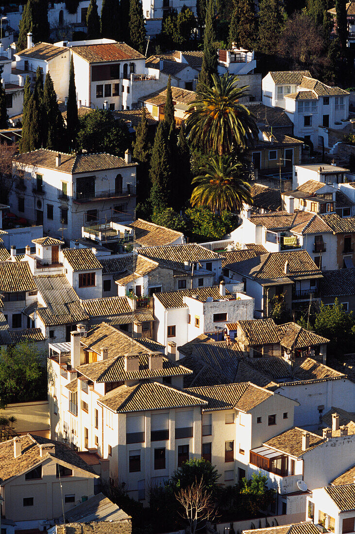Rooftops Of Albayzin, Elevated View
