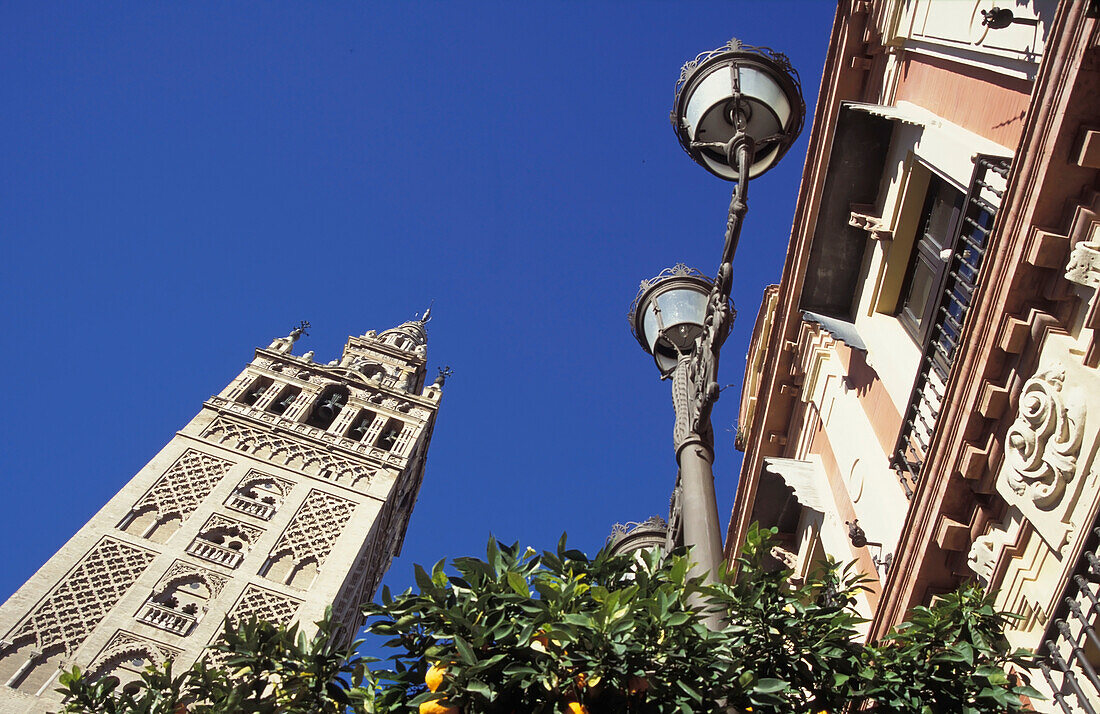 Glockenturm La Giralda, Erzbischöflicher Palast, Straßenlaternen und Orangenbäume