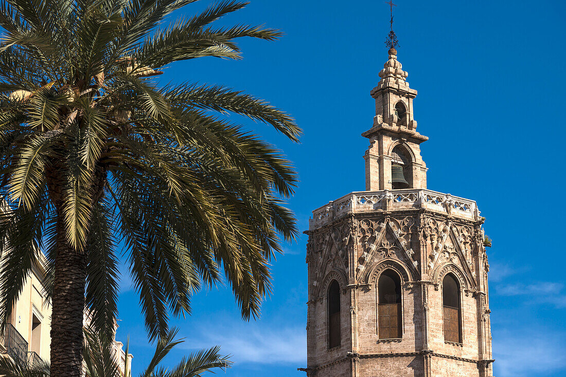 Die Miguelete, der Turm der Kathedrale von Valencia, über Palmen und Gebäuden auf der Plaza de la Reina; Valencia, Spanien