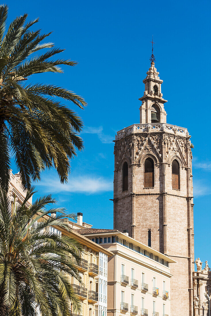 Die Miguelete der Turm der Kathedrale von Valencia über den Palmen und Gebäuden der Plaza de la Reina; Valencia, Spanien