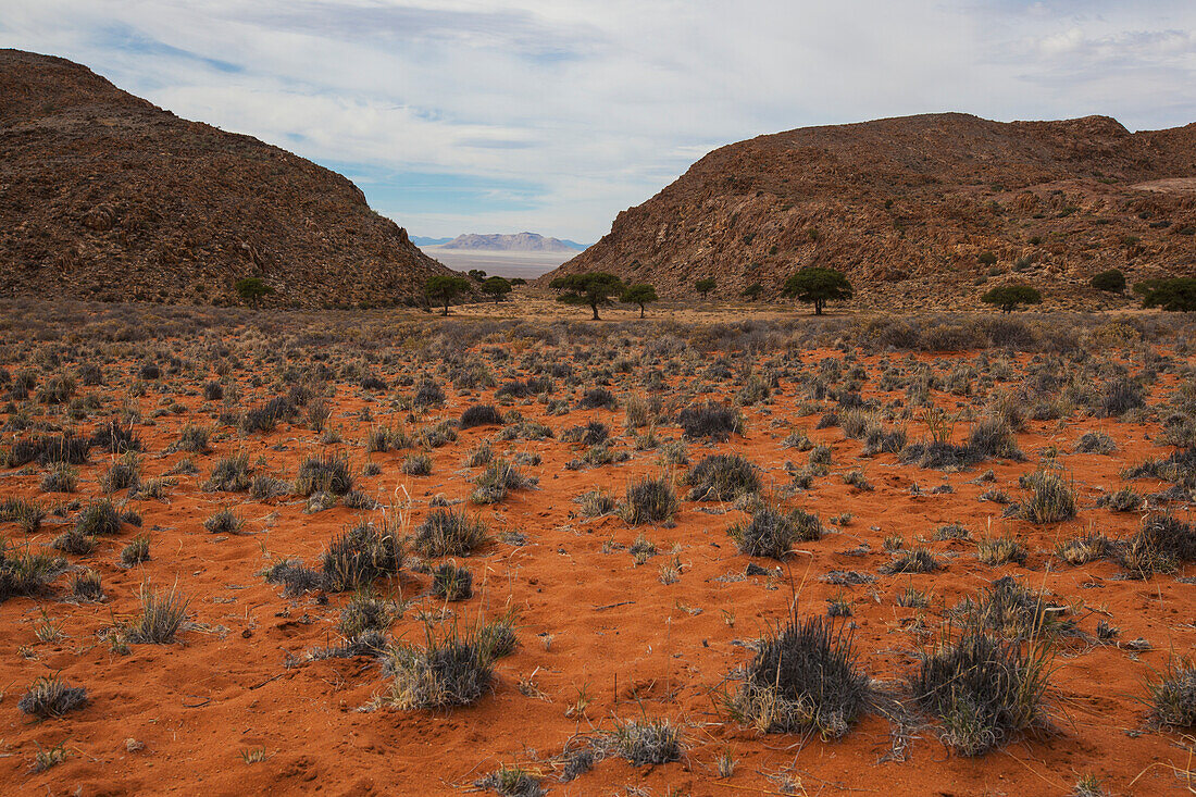 Rote Erde in der Wüste; Klein-aus vista namibia