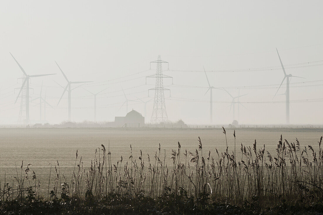 Misty morning at the little cheyne court wind farm at romney marsh; Kent east sussex england