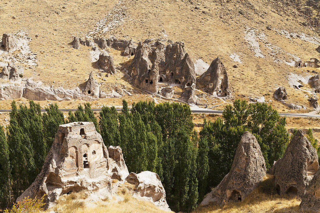 Feenkamine und Bäume in einer kargen Landschaft; Goreme, Kappadokien, Türkei