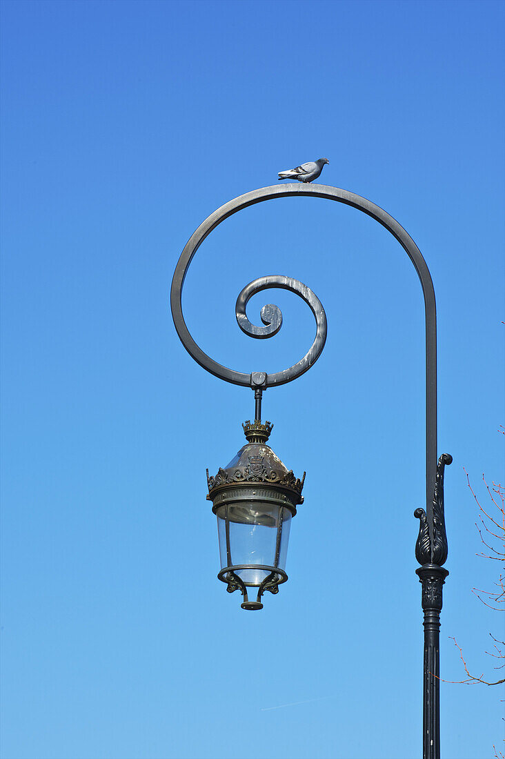 A Bird Perches On The Top Of An Ornate Lamp Post In Place Des Vosges; Paris, France
