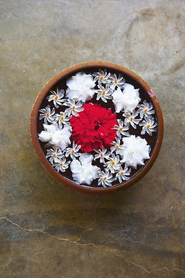 Weiße und rote Blumen schwimmen in einer Schale im Wasser; Ulpotha, Embogama, Sri Lanka