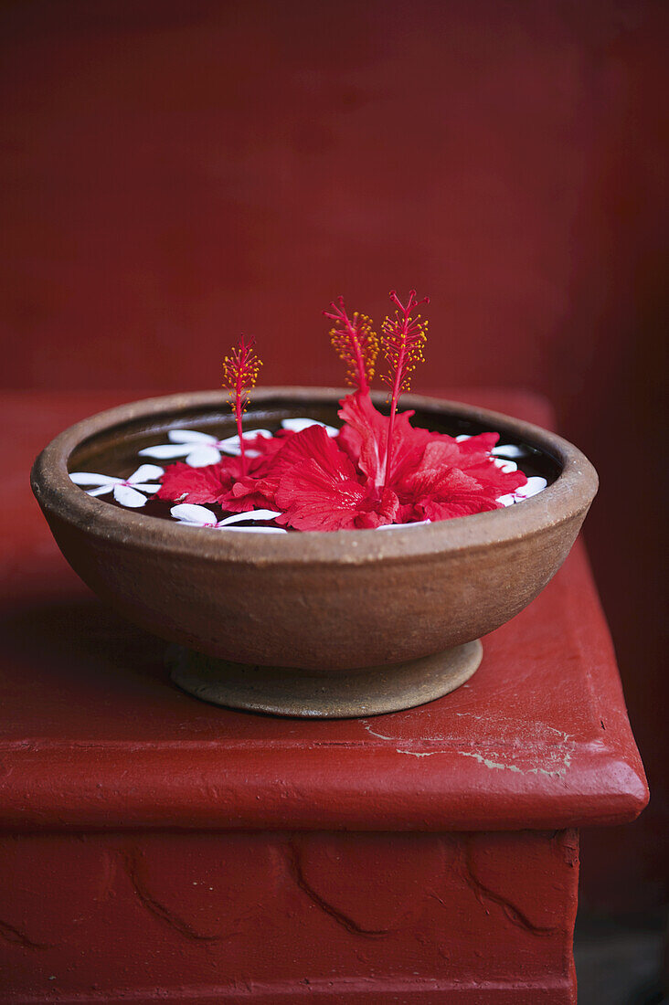 Flowers Floating In Water In A Bowl; Ulpotha, Embogama, Sri Lanka