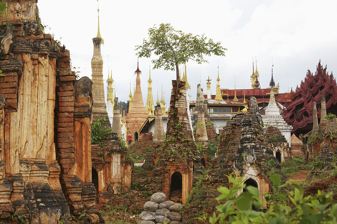 Ruinen von Pagoden am Shwe Inn Thein Paya oberhalb von Inthein am Inle-See; Myanmar