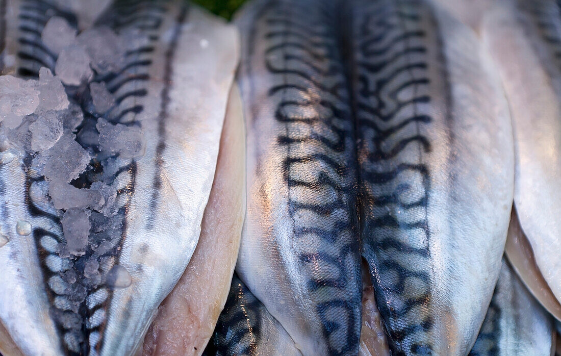 Fisch zum Verkauf auf dem Borough Market; London, England