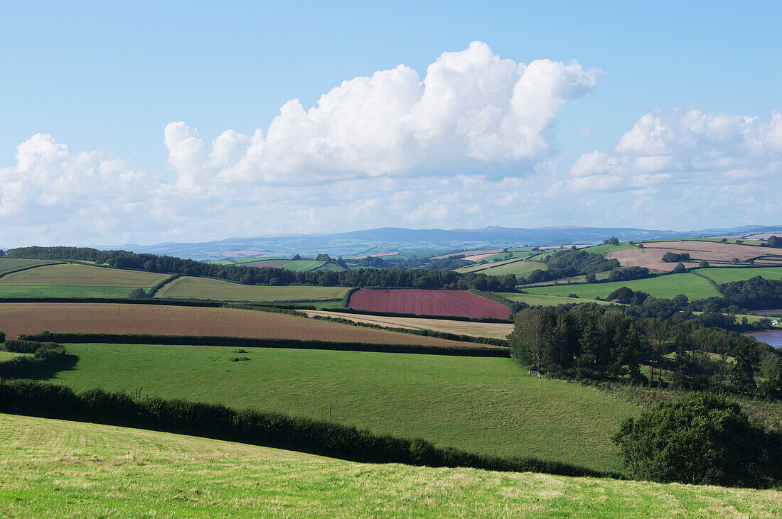Divided Farmland; Devon, England