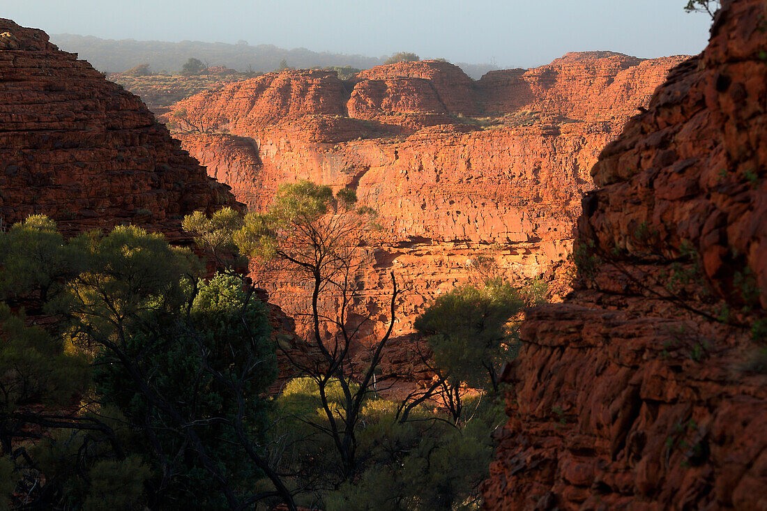 Kings Canyon; Nördliches Territorium, Australien