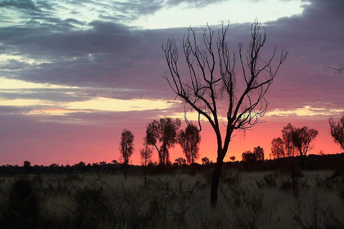 Sunset Near Uluru, Formerly Known As Ayers Rock; Northern Territory, Australia