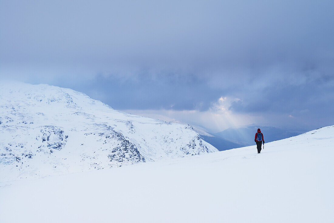 Frau wandert bei schneebedeckten, winterlichen Bedingungen auf dem Beinn An Dothaidh, in der Nähe von Bridge Of Orchy; Argyll und Bute, Schottland